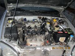 IMG 0419