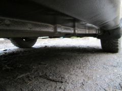 IMG 0517 1
