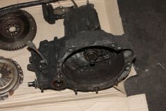IMG 4494
