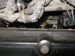 IMG 1477[1]