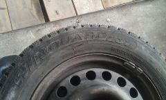 IMAG3053