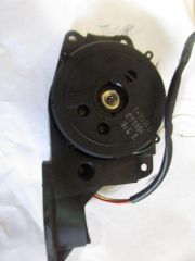 IMG 3574