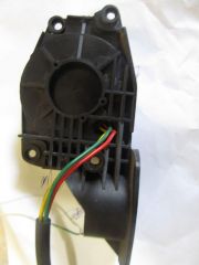 IMG 3575