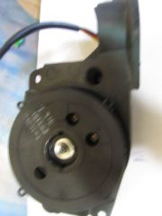 IMG 3579