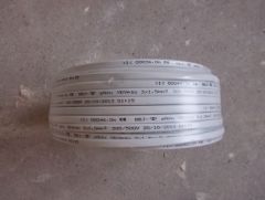 DSCI0749