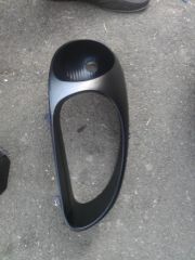 IMAG2431