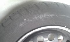 IMAG0569