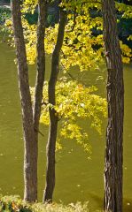 DSC00473 R
