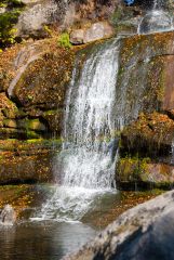 DSC00462 R