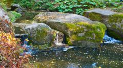 DSC00564 R