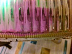 IMG00956 20141021 2250