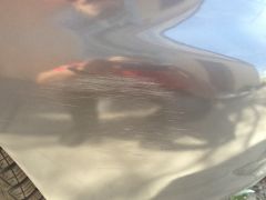 IMG 0108