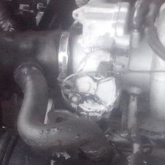 IMG 20150329 1310332