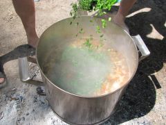 IMG_7142.JPG