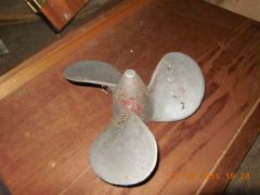 DSCN3614