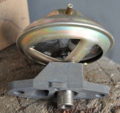 DSC 8296