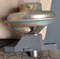 DSC 8295