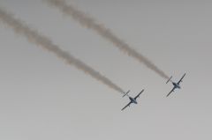 DSC09554_r.jpg
