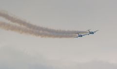 DSC09551r