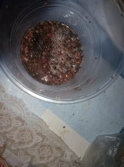 IMG 1467998439635 V
