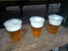IMG 1467905511024 V