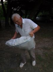 IMG 1467912200530 V