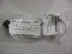 IMG 0007
