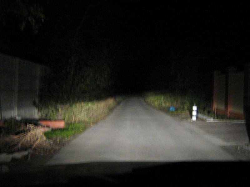 12803033n.jpg
