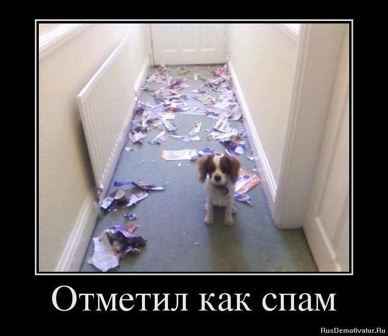 1333920578_19646500_otmetil-kak-spam.jpg