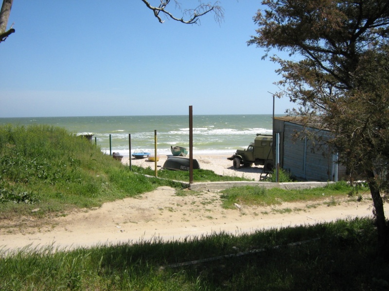 14469134n.jpg