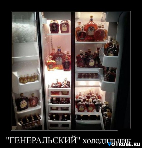 1451230334_1427219679_smeshnye-demotivat