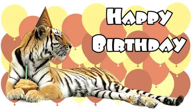 1630-29faf4e9206860056cc2b8fabc8f155fff6