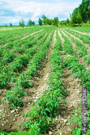 2330425434d275acf8688d773ac286241669b_b.