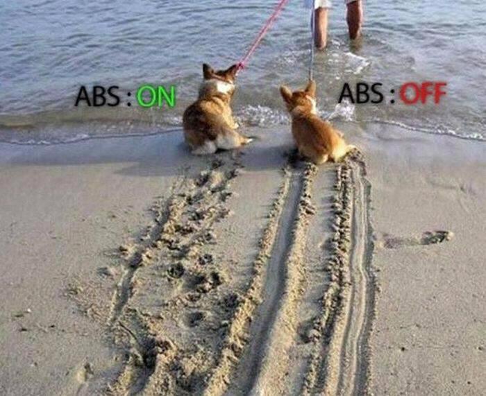 390001_2882696755537_1503650830_2933069_