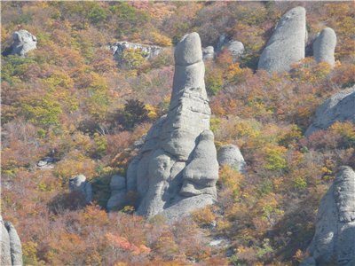 45182f04353d.jpg
