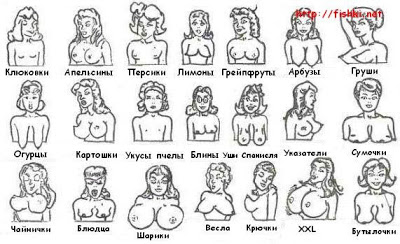 %D0%A2%D0%B8%D0%BF%D1%8B+%D1%81%D0%B8%D1%81%D0%B5%D0%BA.jpg
