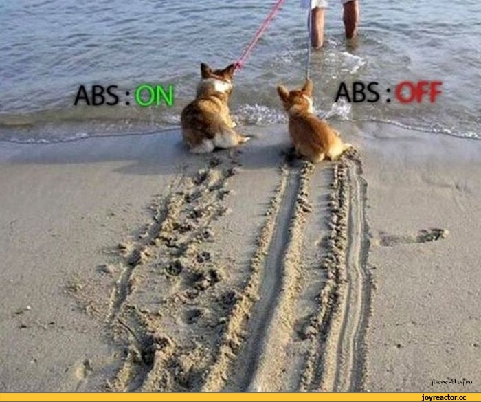 %D0%BF%D1%80%D0%B8%D0%BA%D0%BE%D0%BB-%D0