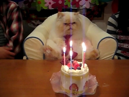 %D1%81%20%D0%B4%D0%BD%D0%B5%D0%BC%20%D1%