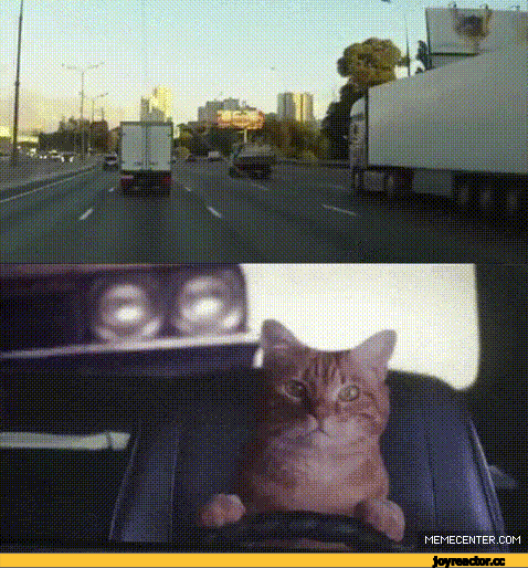 %D0%BA%D0%BE%D1%82%D1%8D-%D0%B2%D0%BE%D0