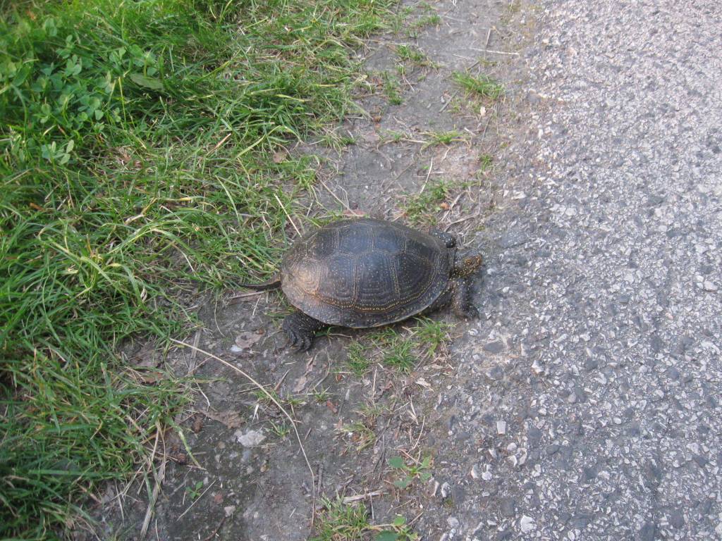 5e5be185d3920642779303e3e959f77a5f87f715