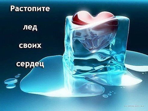 5e7723890547.jpg