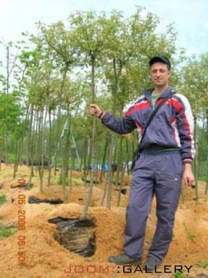 5eef8f6-1959536-730917823609844-16524989