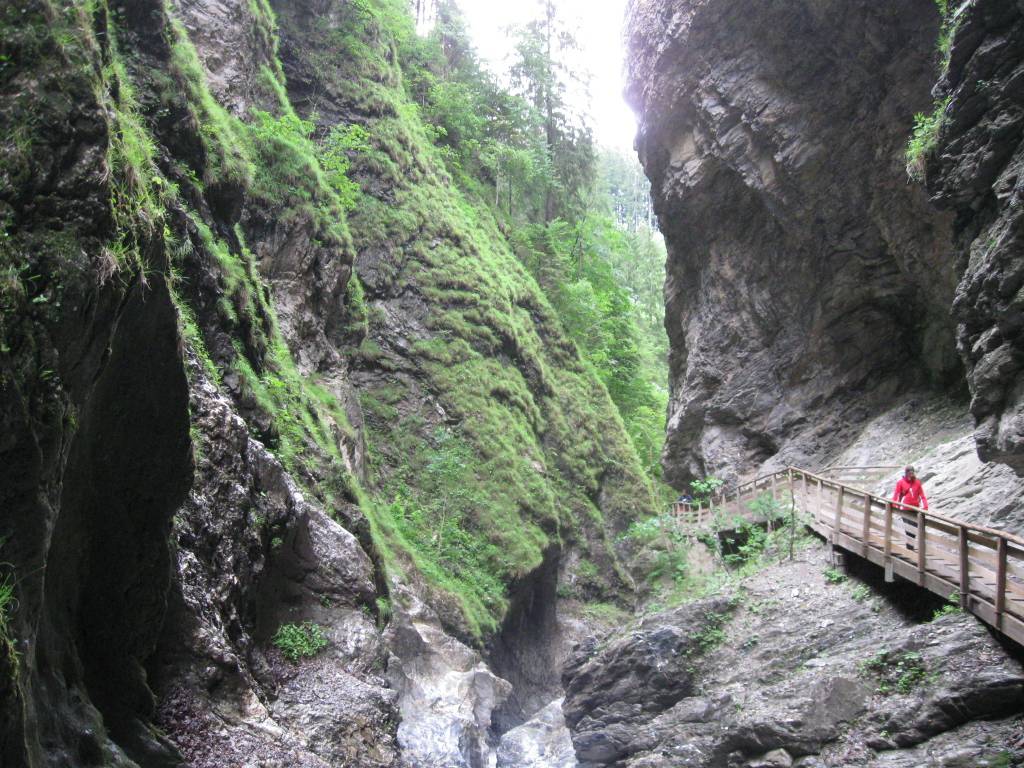 6af03b5df1421a4c3ddc750210a014c22ec93615