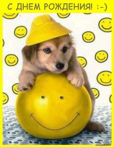 36168181.jpg?1290684115