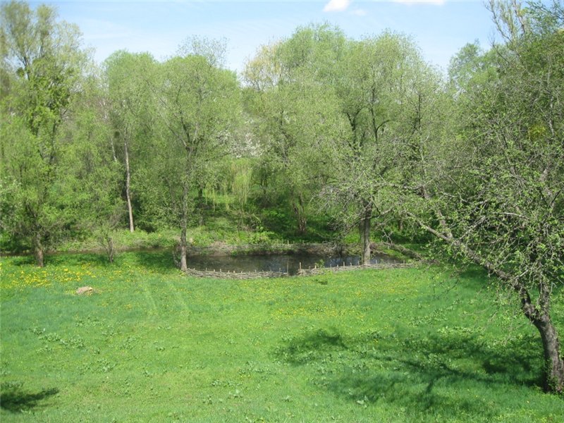 835b6acfd843.jpg