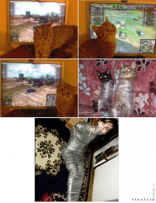 8b36b3ffab7eb501f387cdbecf2d1fff5220b415