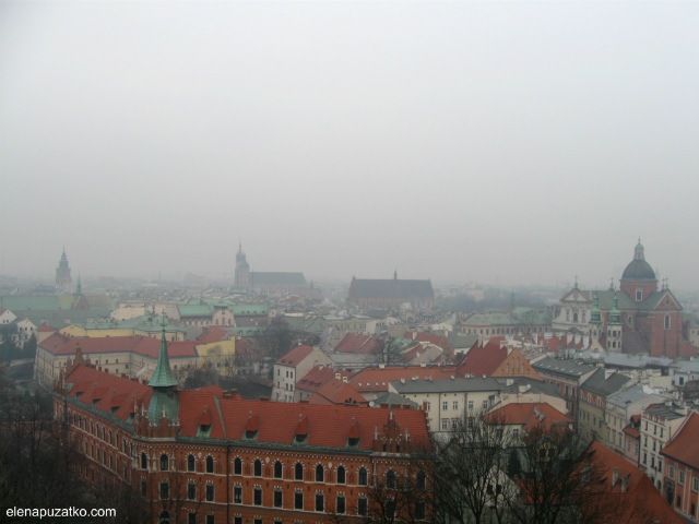 8b4896bededd.jpg