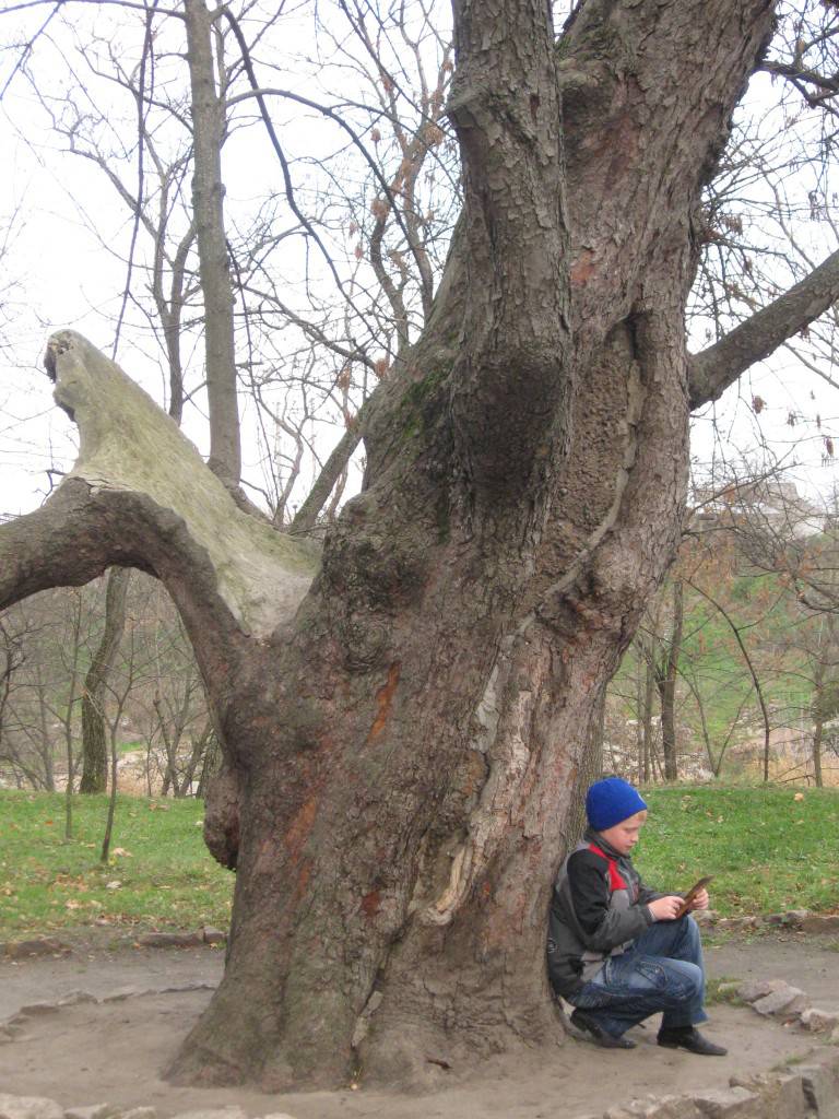 90538e64f63a53a1c0faa8346a3a45f12ec93616