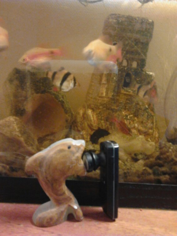 9aa771fd6944dac5ac6e56148ec51c1424698a7a