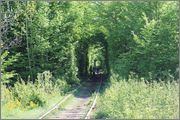 IMG_1246_111.jpg
